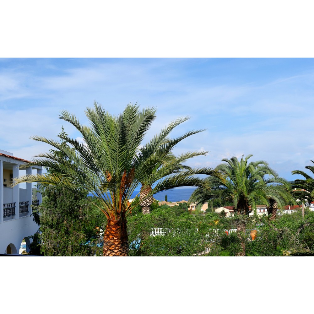 Paradise Hotel View Paradise Hotel View